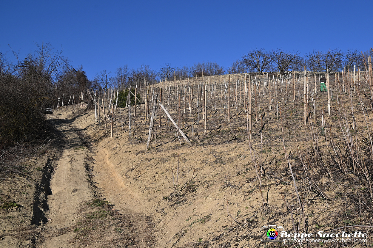VBS_0885A - Corneliano d'Alba.jpg